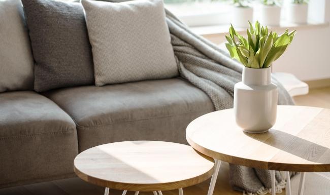 sunlight pours through a large window in furnished living room